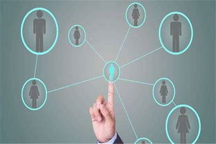 軟件定制開發流程詳解 互聯網銷售視角下的高效路徑