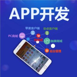 專業App開發如何實現效益快？軟件開發公司的選擇與策略