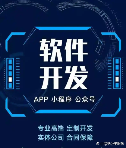 個性化功能需求，專業定制軟件開發服務如何全面滿足？